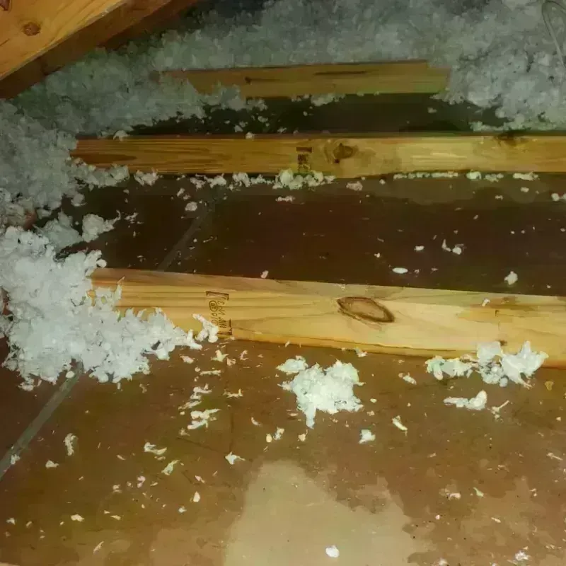 Attic Water Damage in Springs, NY